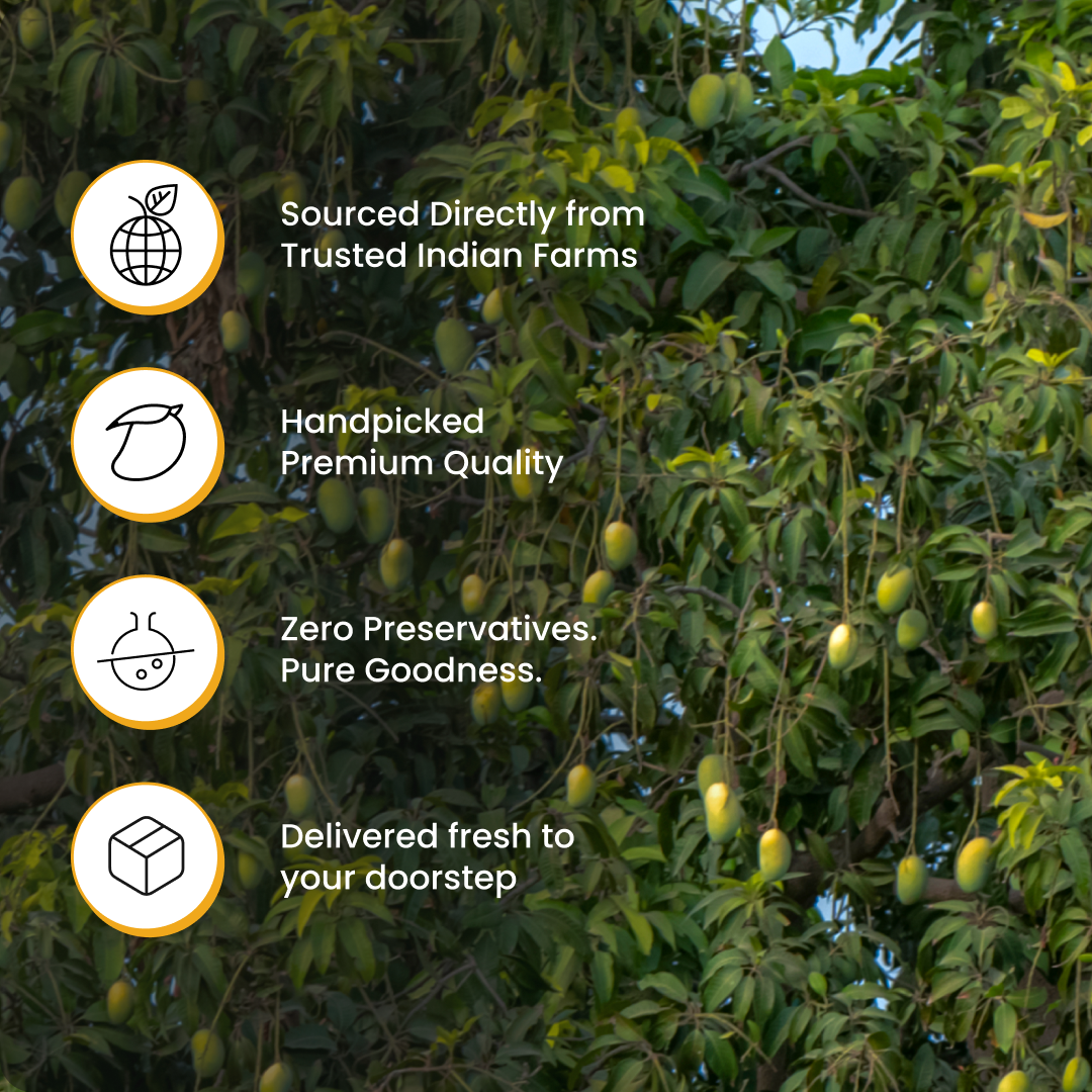 Alphonso Mango