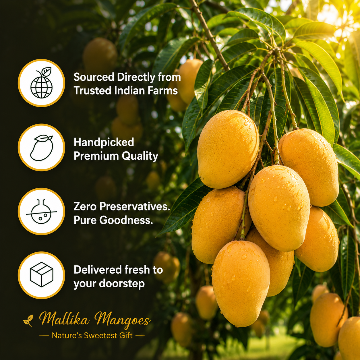 Mallika Mango