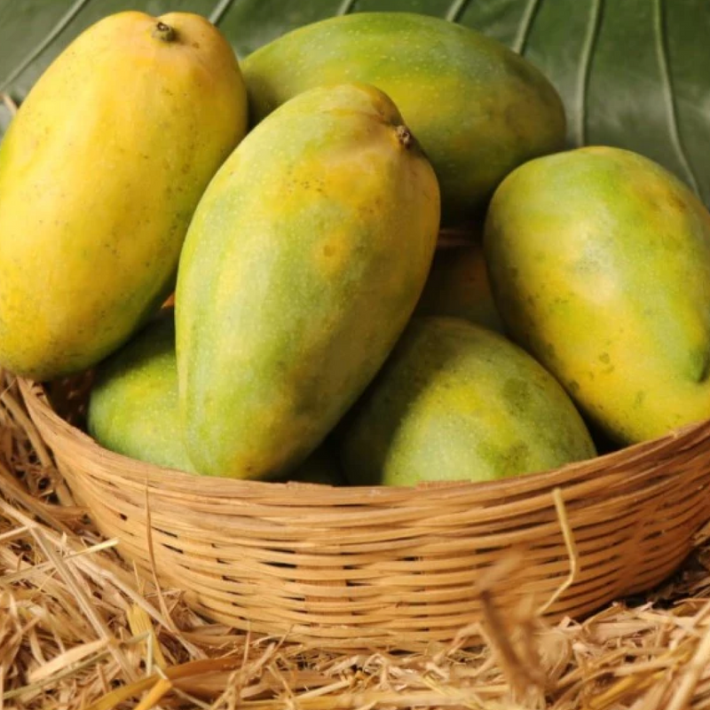 Imam Pasand Mango